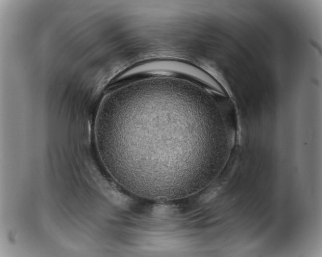 X0000099450109200805161032