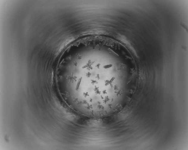 X0000099450110200805161032