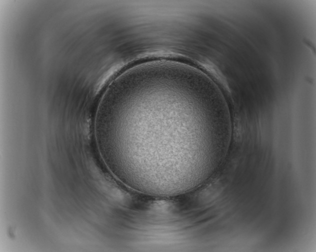 X0000099450111200805161032