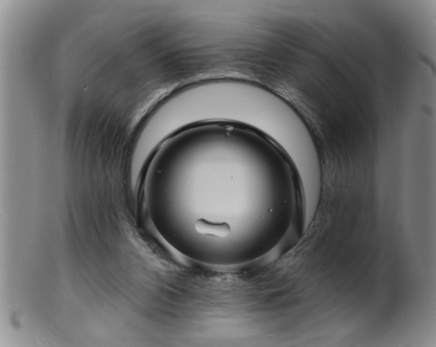 X0000099450112200805161032