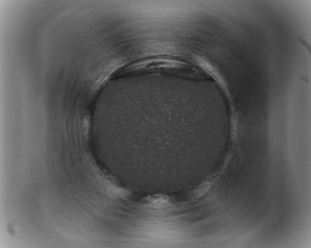 X0000099450113200805161032