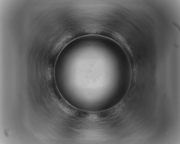 X0000099450114200805161032