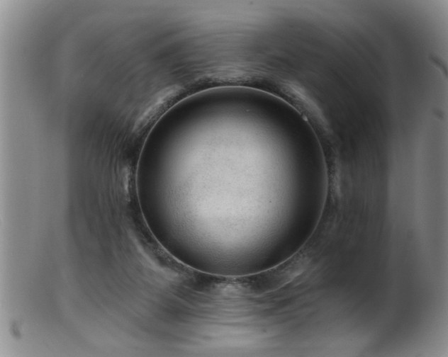 X0000099450115200805161032