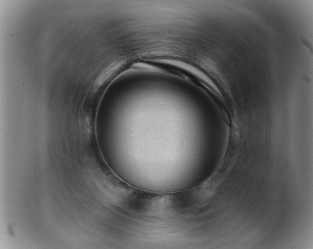 X0000099450116200805161032