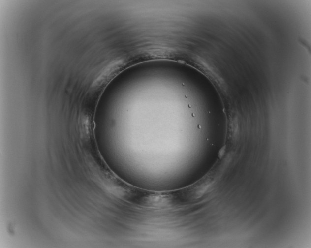 X0000099450117200805161032