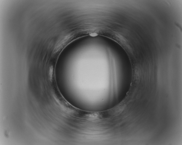 X0000099450118200805161032