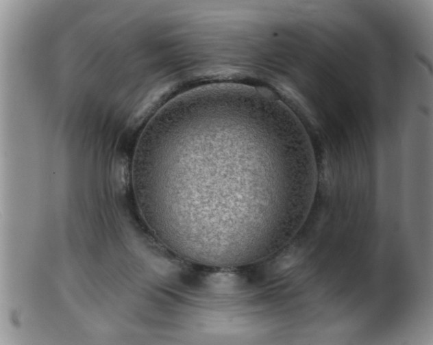 X0000099450119200805161032