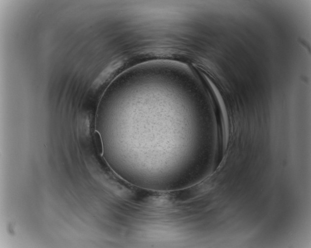 X0000099450120200805161032