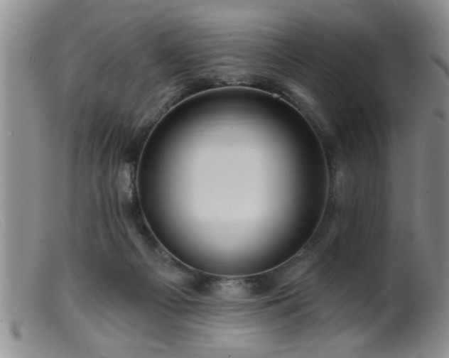 X0000099450121200805161032