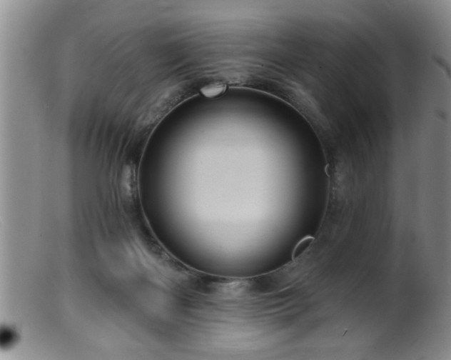 X0000099450122200805161032