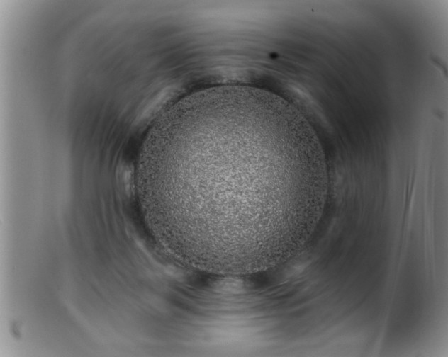 X0000099450123200805161031