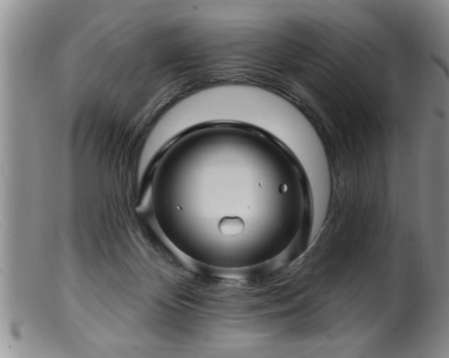 X0000099450124200805161031