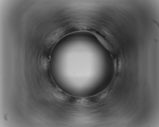 X0000099450125200805161031