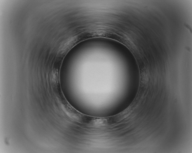 X0000099450126200805161031