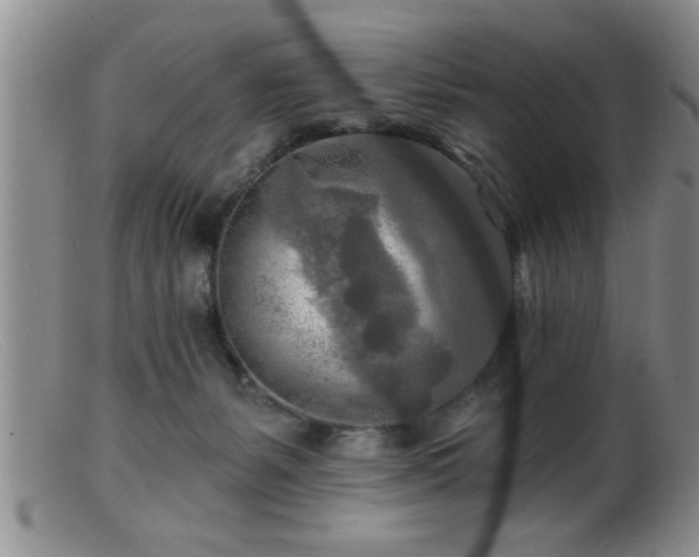 X0000099450127200805161031