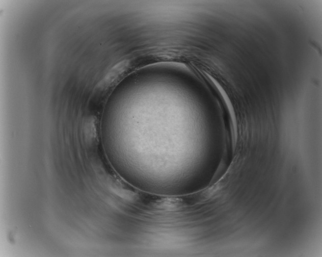 X0000099450128200805161031