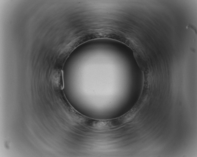 X0000099450129200805161031