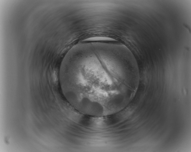 X0000099450131200805161031