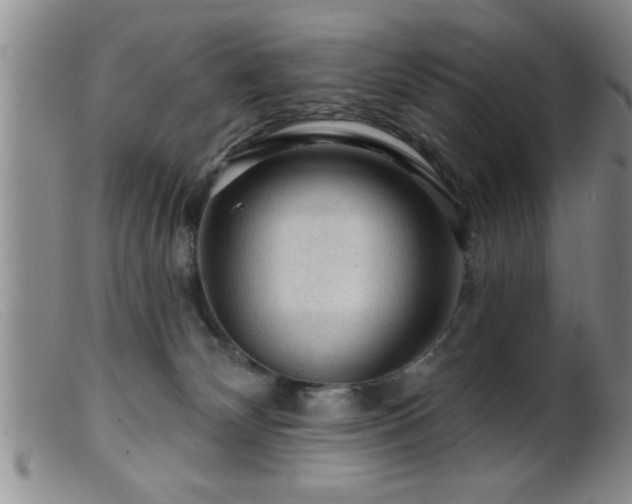 X0000099450132200805161031