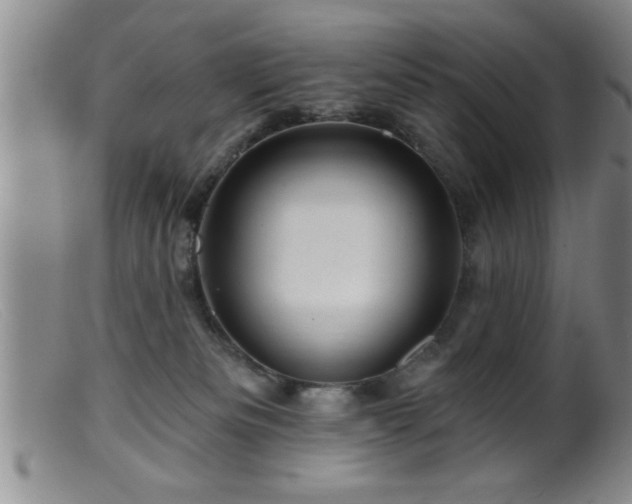 X0000099450133200805161031