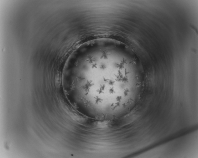 X0000099450134200805161031
