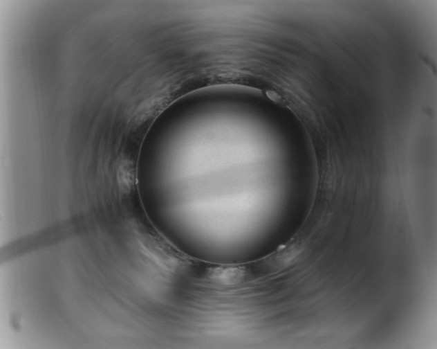 X0000099450135200805161031