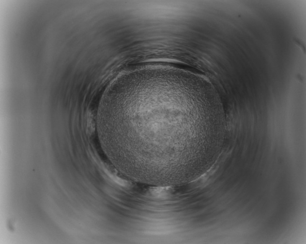 X0000099450136200805161031