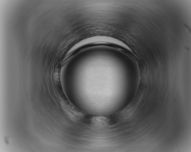 X0000099450137200805161031