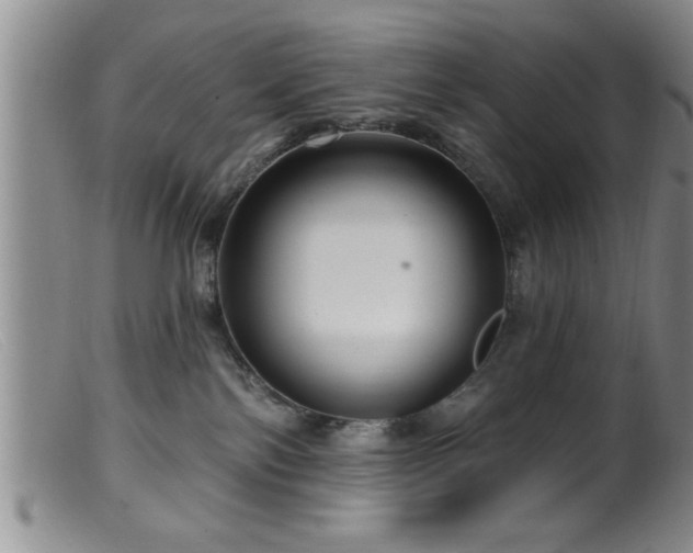 X0000099450138200805161031