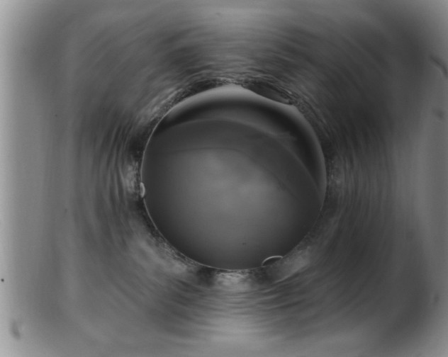 X0000099450139200805161031