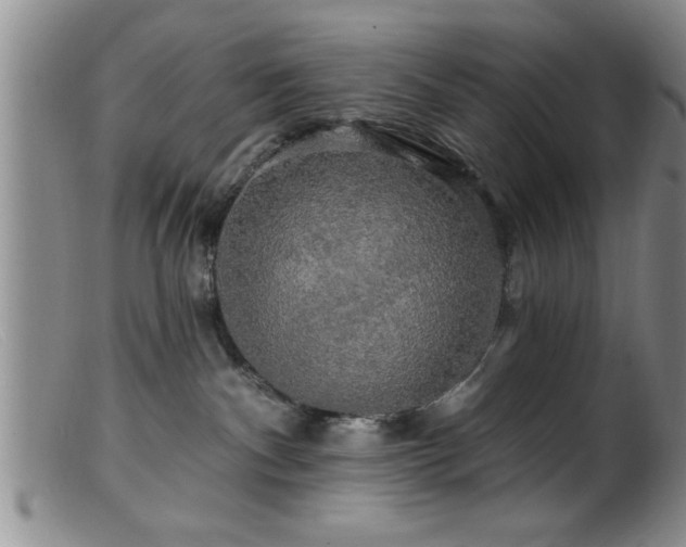 X0000099450140200805161031