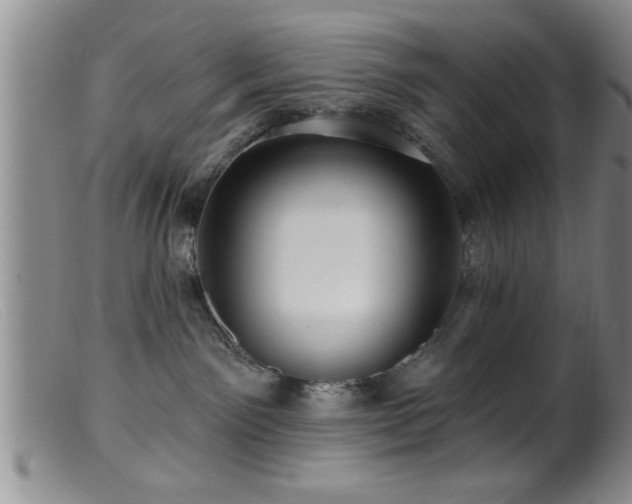 X0000099450141200805161031