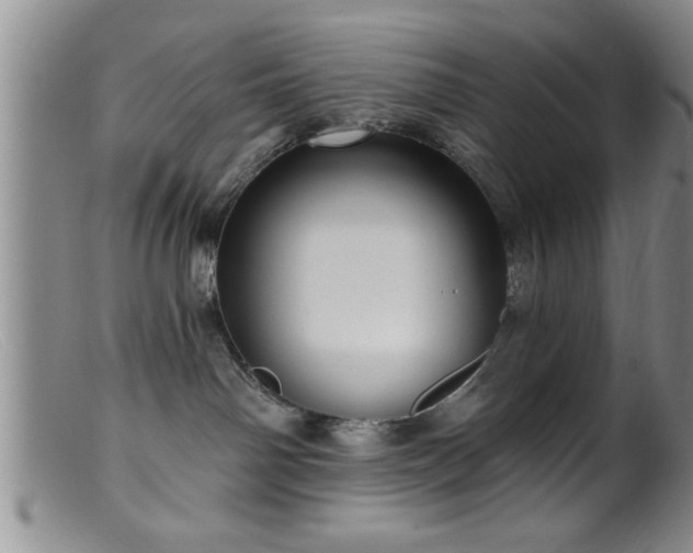 X0000099450142200805161031