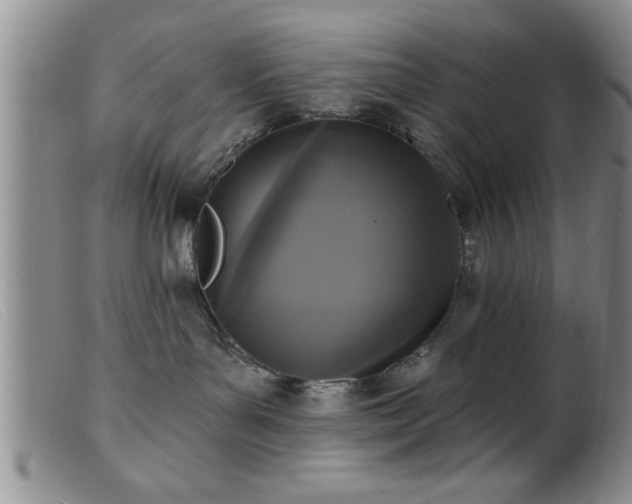 X0000099450143200805161031