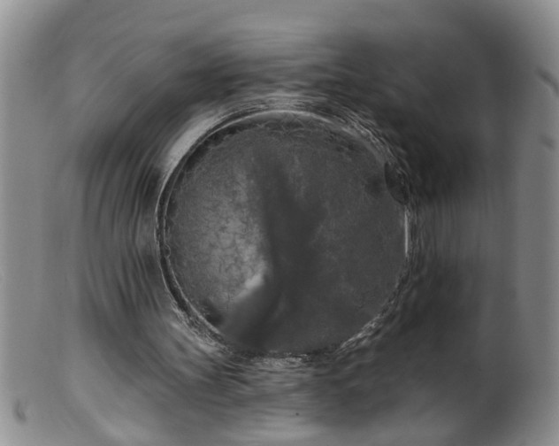 X0000099450147200805161030