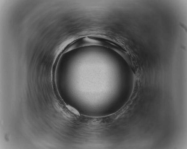 X0000099450148200805161030