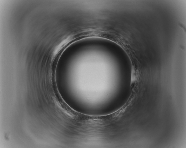 X0000099450150200805161030