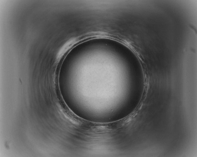 X0000099450151200805161030