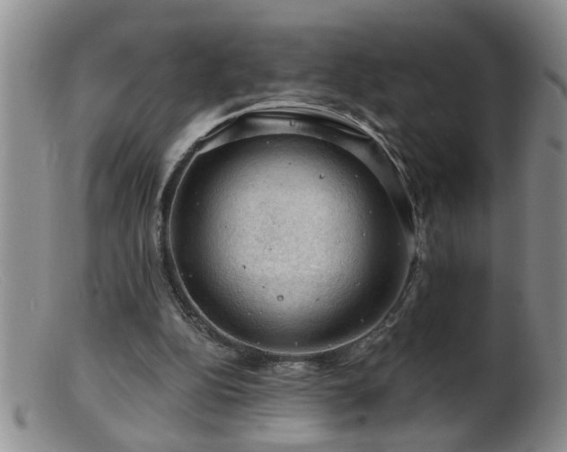 X0000099450152200805161030