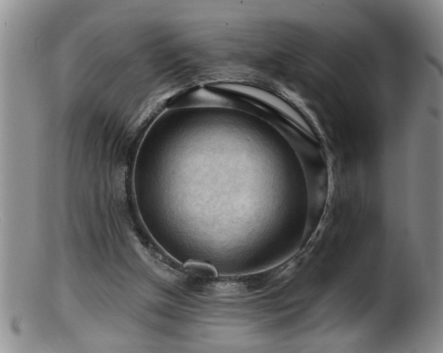 X0000099450154200805161031