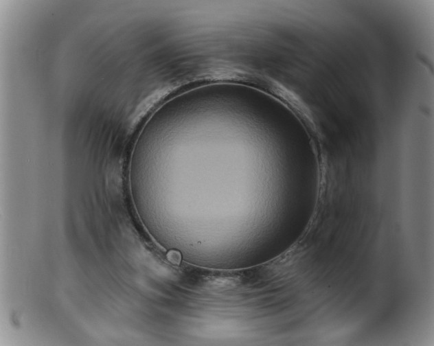 X0000099450155200805161031