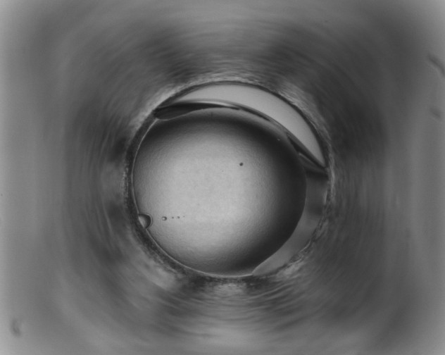 X0000099450156200805161031