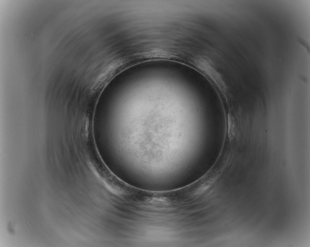 X0000099450157200805161031