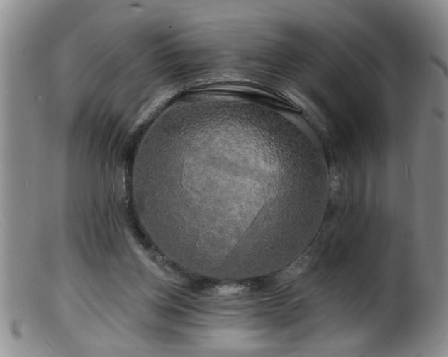 X0000099450158200805161031