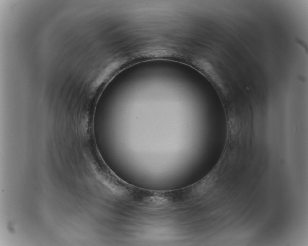 X0000099450159200805161031