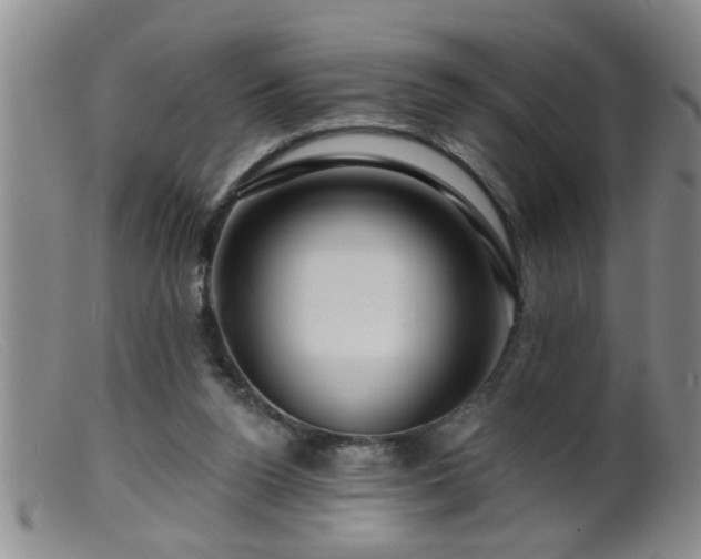 X0000099450160200805161031