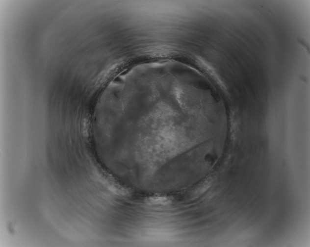 X0000099450161200805161031