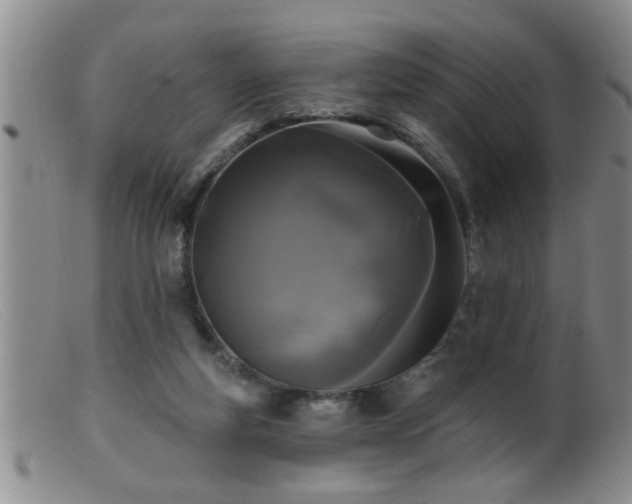 X0000099450163200805161031