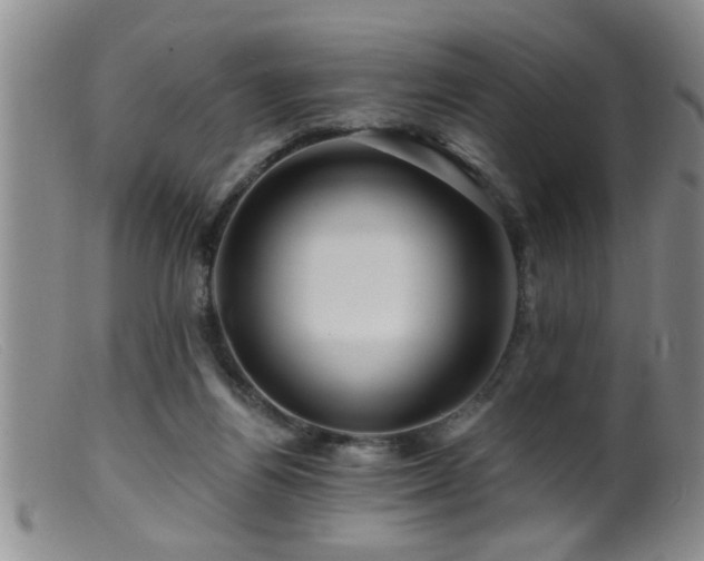 X0000099450164200805161031