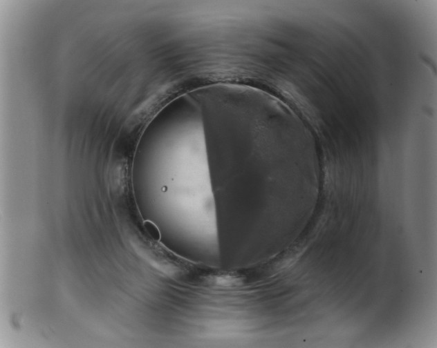 X0000099450165200805161031